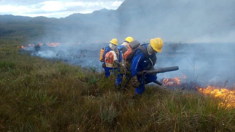 Brigadas de Prevenção e Combate a Incêndios Florestais